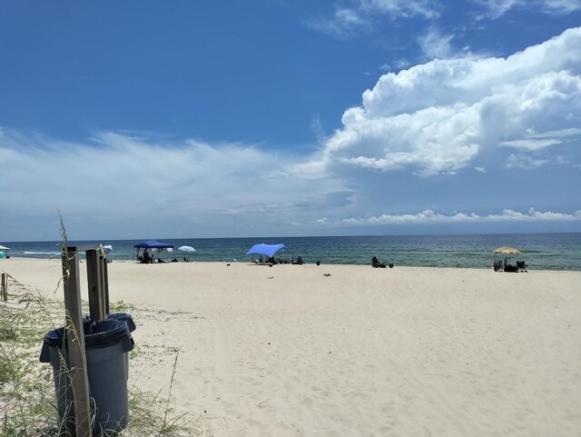 water view with a view of the beach