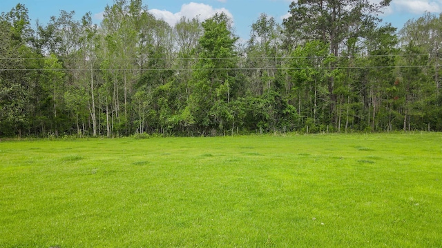 TBD NW Hawks Ave, Greenville, FL 32331 - photo 8