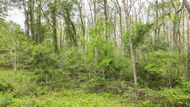 TBD NW Hawks Ave, Greenville, FL 32331 - photo 17