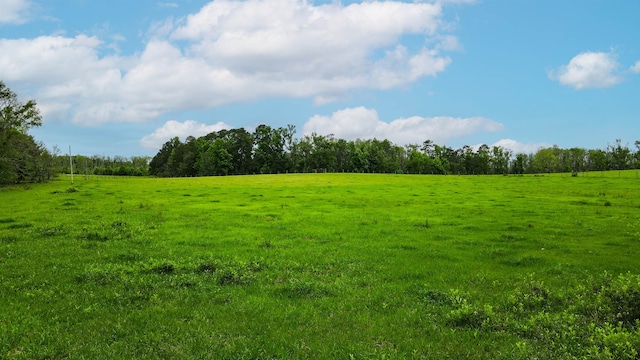 TBD NW Hawks Ave, Greenville, FL 32331 - photo 9