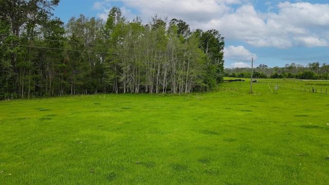 TBD NW Hawks Ave, Greenville, FL 32331 - photo 10