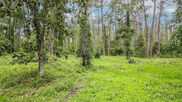TBD NW Hawks Ave, Greenville, FL 32331 - photo 16