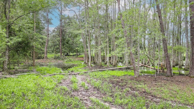 TBD NW Hawks Ave, Greenville, FL 32331 - photo 18