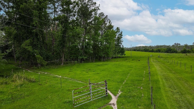 TBD NW Hawks Ave, Greenville, FL 32331 - photo 7
