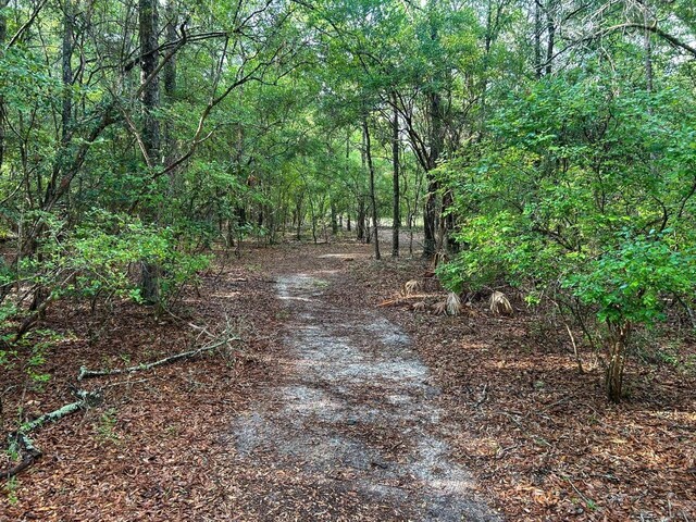 15303 Blue Boar Rd, Tallahassee, FL 32310 - photo 38