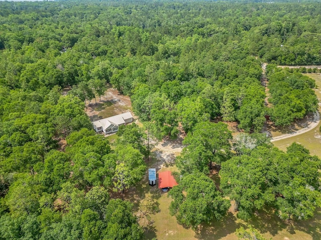 15303 Blue Boar Rd, Tallahassee, FL 32310 - photo 36