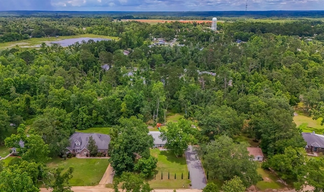 7420 Hickock Ct, Tallahassee, FL 32311 - aerial view of property's location with a forest
