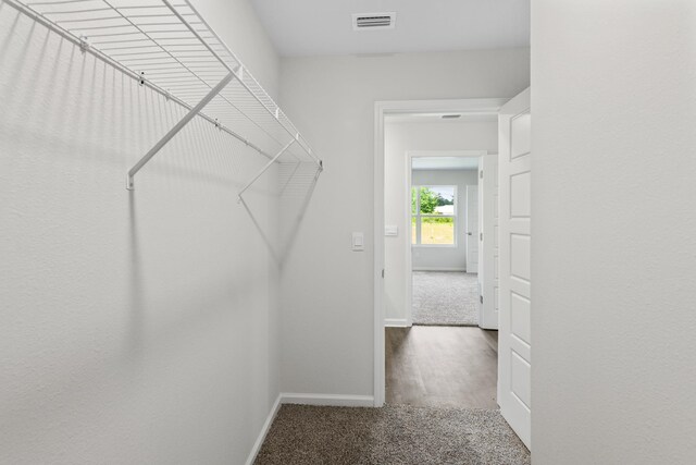 walk in closet with carpet