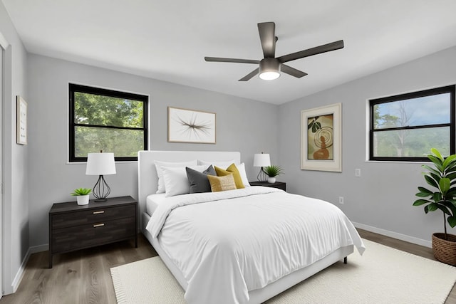 2309 Oxford Rd, Tallahassee, FL 32304 - bedroom with baseboards, wood finished floors, and ceiling fan