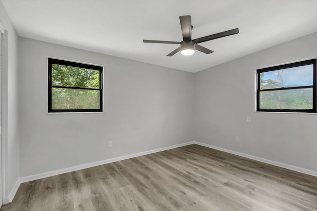2309 Oxford Rd, Tallahassee, FL 32304 - spare room featuring light wood finished floors, ceiling fan, and baseboards