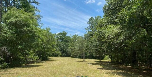 view of local wilderness