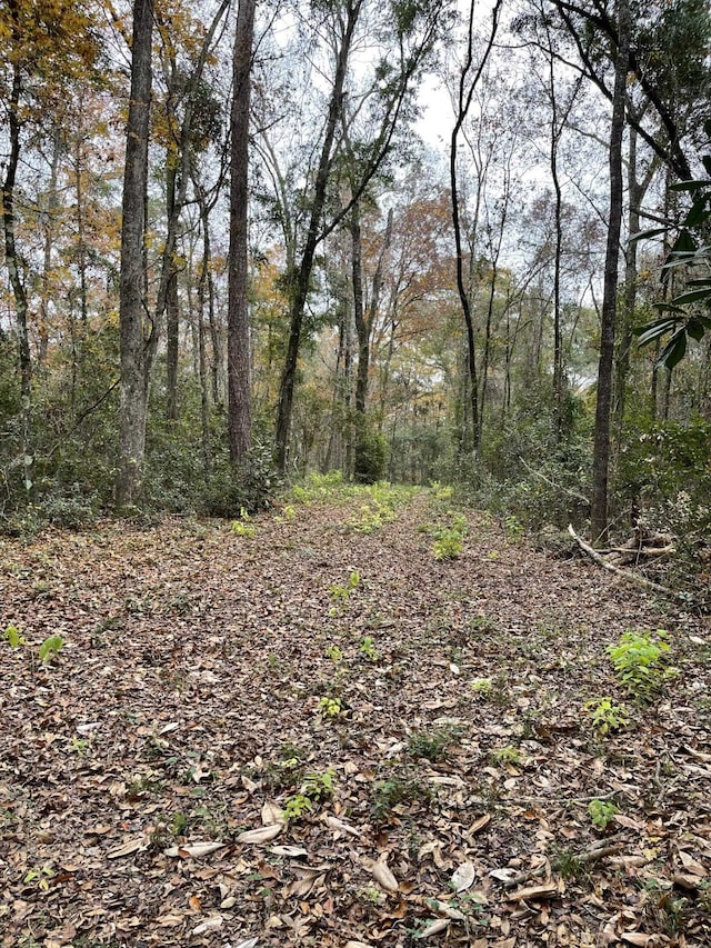 0 Old Bainbridge Rd, Tallahassee FL, 32303 land for sale