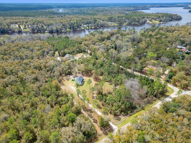 16311 Star Hill Rd, Tallahassee, FL 32310 - photo 3