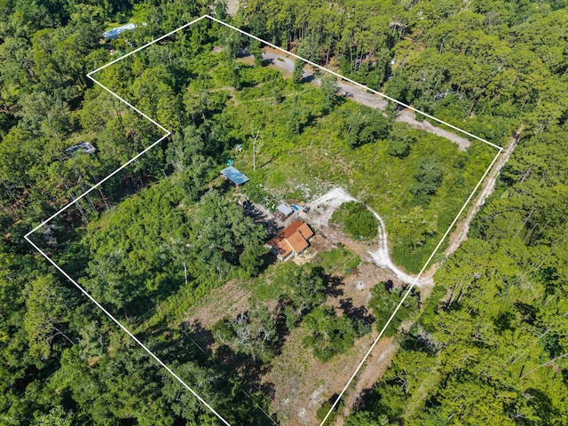 347 Bert Thomas Ln, Crawfordville, FL 32327 - photo 41