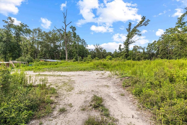 347 Bert Thomas Ln, Crawfordville, FL 32327 - photo 36