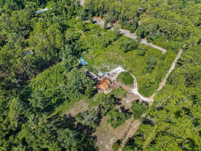 347 Bert Thomas Ln, Crawfordville, FL 32327 - photo 42
