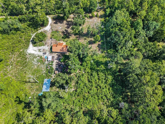 347 Bert Thomas Ln, Crawfordville, FL 32327 - photo 47