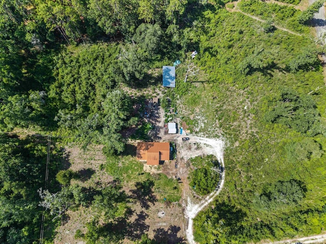 347 Bert Thomas Ln, Crawfordville, FL 32327 - photo 39