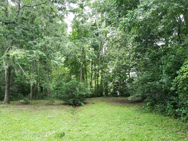 3344 Charleston Rd, Tallahassee, FL 32309 - photo 1