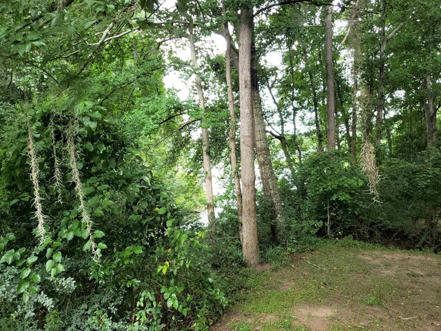 3344 Charleston Rd, Tallahassee, FL 32309 - photo 4