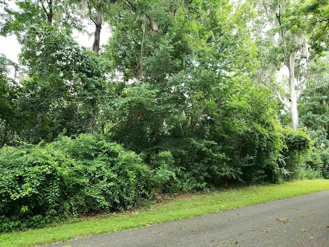 3344 Charleston Rd, Tallahassee, FL 32309 - photo 7