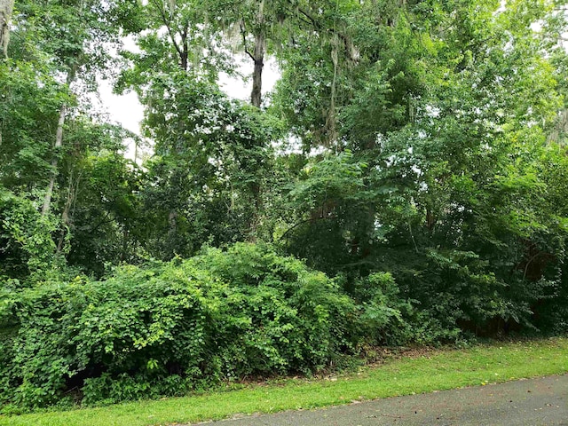 3344 Charleston Rd, Tallahassee, FL 32309 - photo 10