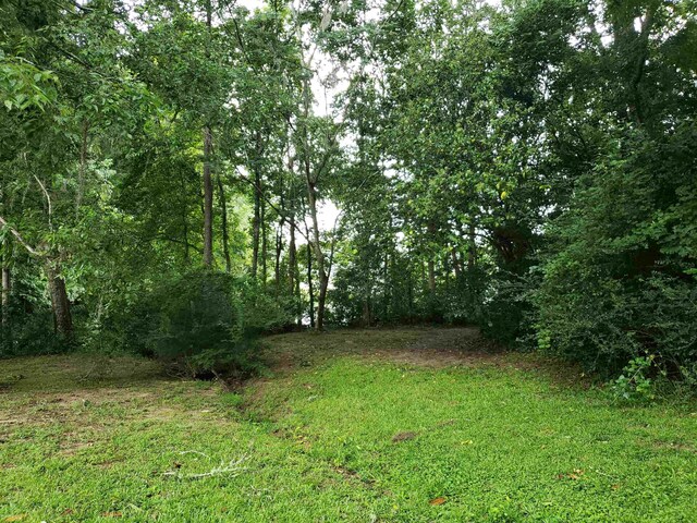 3344 Charleston Rd, Tallahassee, FL 32309 - photo 12