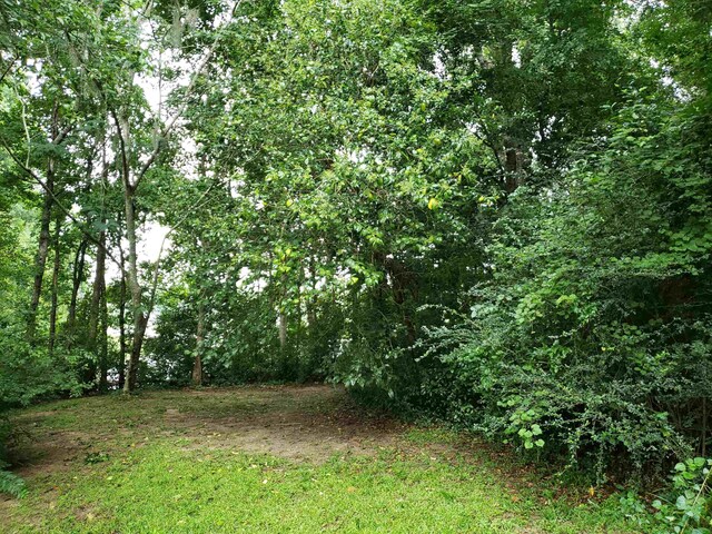 3344 Charleston Rd, Tallahassee, FL 32309 - photo 11
