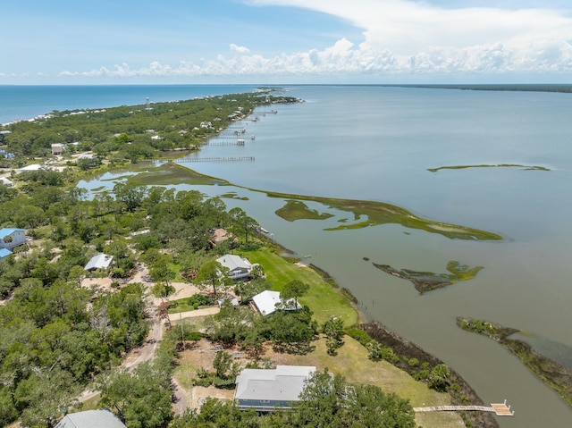 1294 Peninsular Cir, Alligator Point, FL 32346