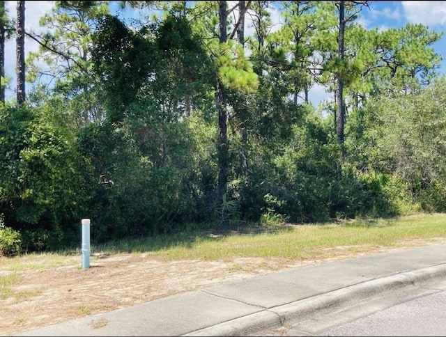 129 Anhinga Ct, Carrabelle FL, 32322 land for sale