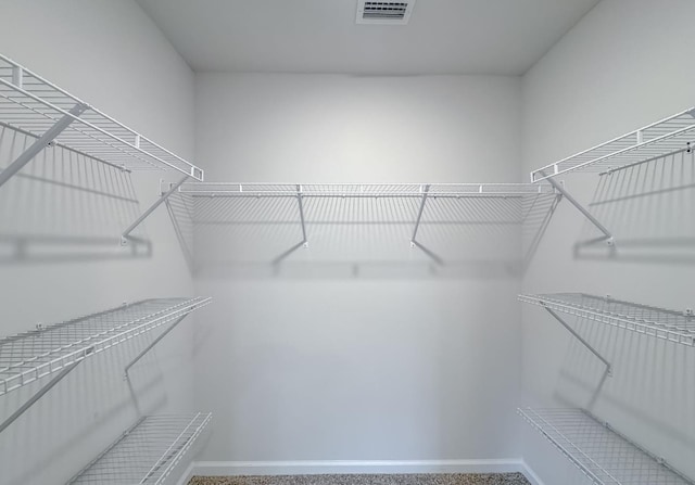 view of walk in closet