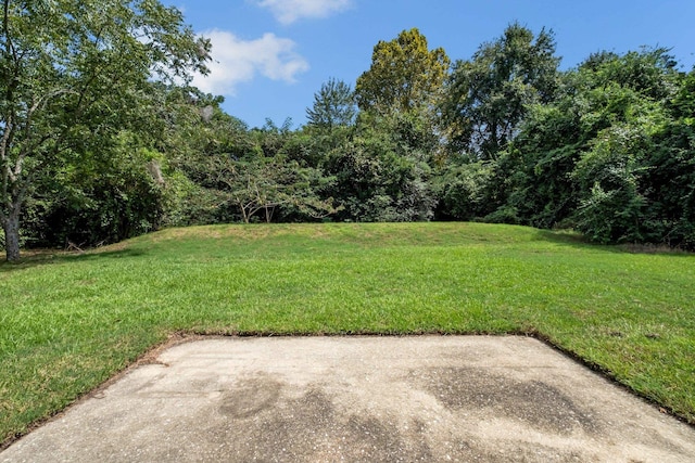 view of yard featuring a patio