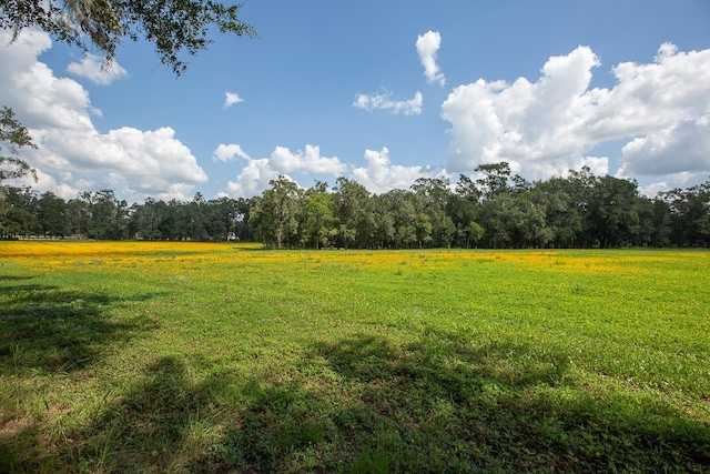 view of yard with a rural view