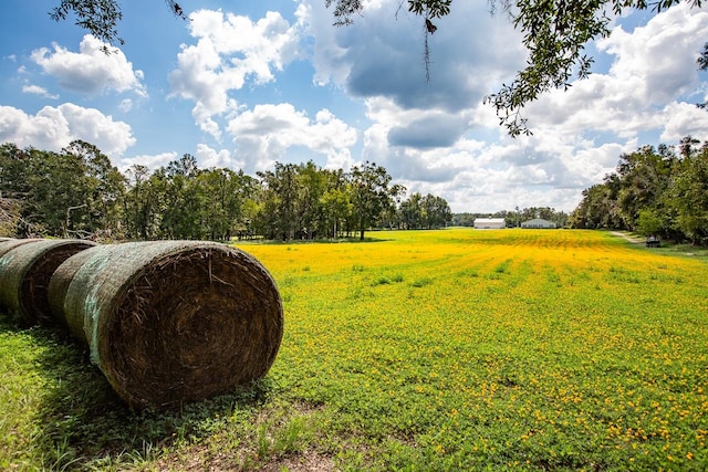 view of yard with a rural view