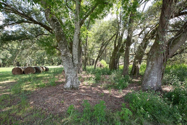 view of landscape