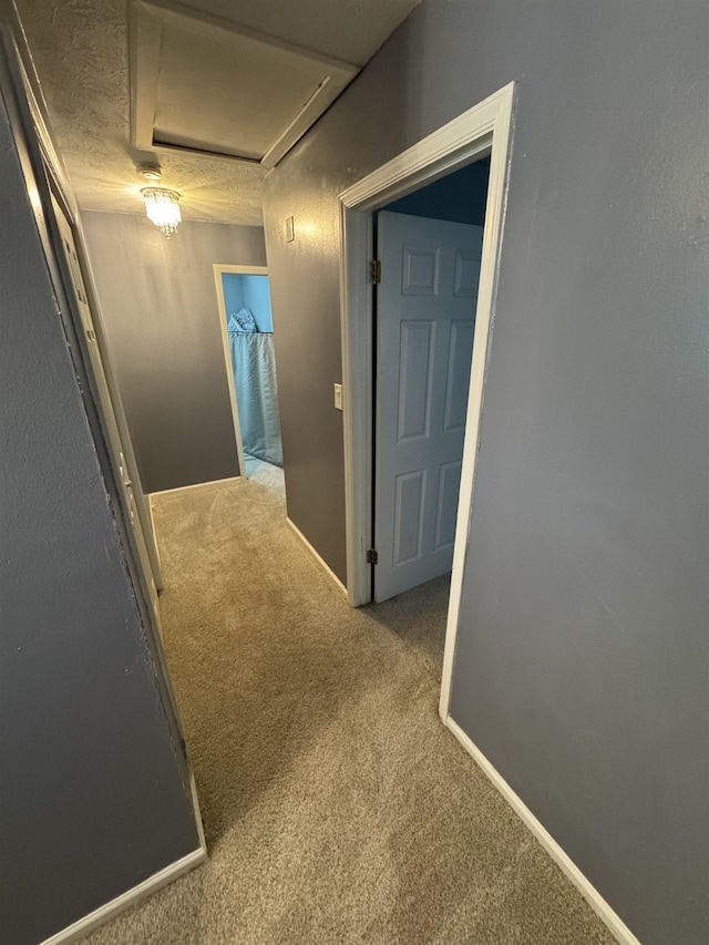 hall featuring carpet and a textured ceiling