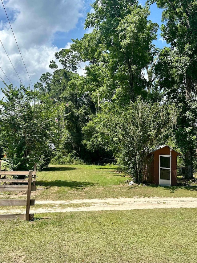 view of yard with a shed