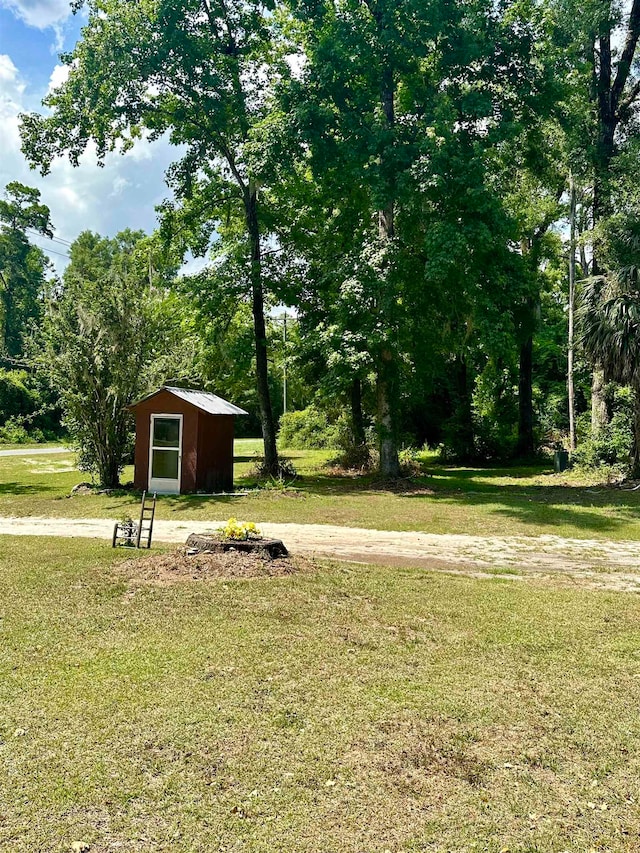 view of yard with a shed