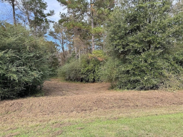 12 Raven Run, Havana, FL 32333 - photo 26