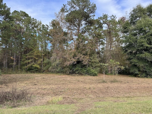 12 Raven Run, Havana, FL 32333 - photo 27