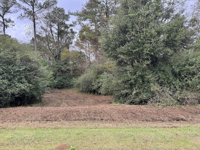 12 Raven Run, Havana, FL 32333 - photo 16