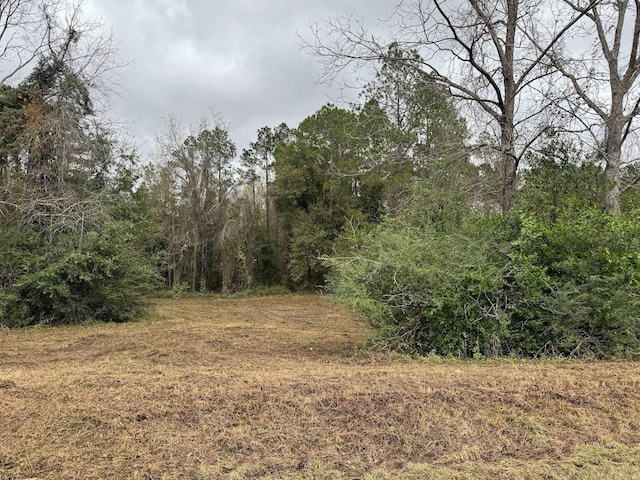12 Raven Run, Havana, FL 32333 - photo 21
