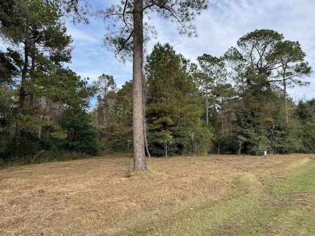 12 Raven Run, Havana, FL 32333 - photo 23