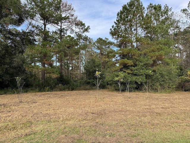12 Raven Run, Havana, FL 32333 - photo 24