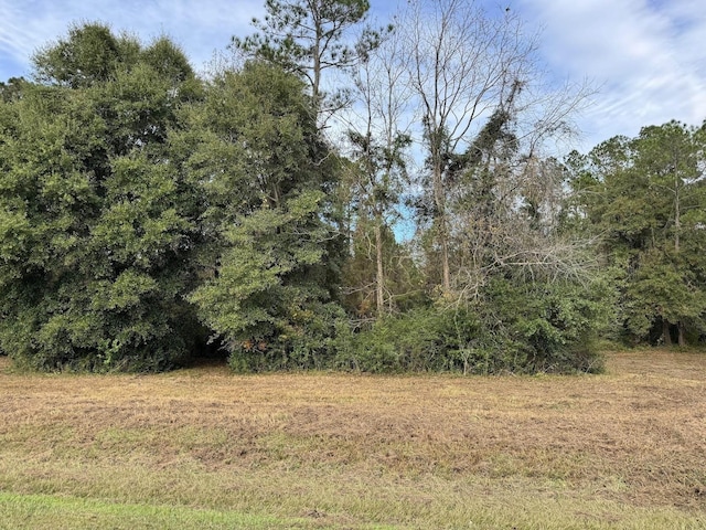 12 Raven Run, Havana, FL 32333 - photo 28