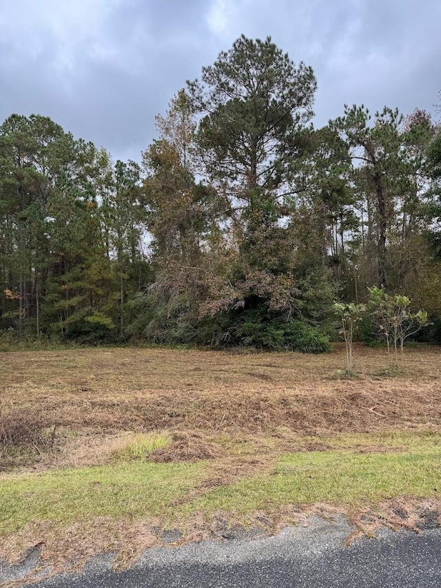 12 Raven Run, Havana, FL 32333 - photo 19