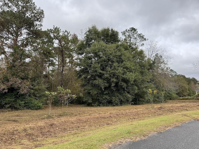 12 Raven Run, Havana, FL 32333 - photo 18