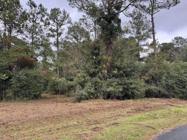 12 Raven Run, Havana, FL 32333 - photo 15