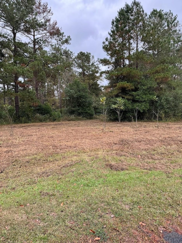 12 Raven Run, Havana, FL 32333 - photo 13