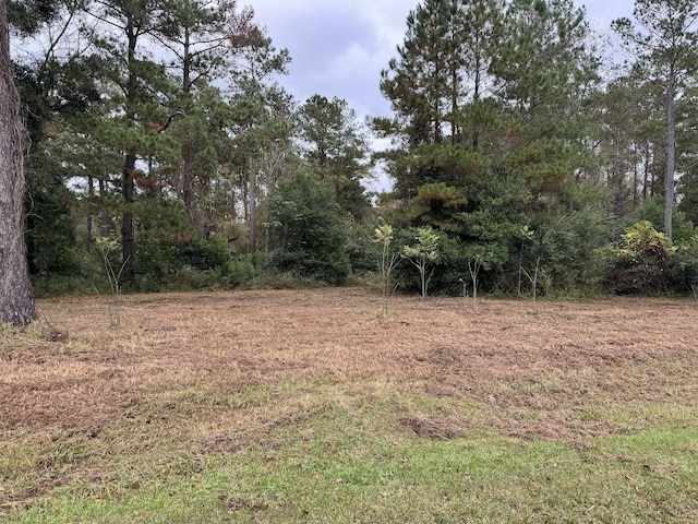 12 Raven Run, Havana, FL 32333 - photo 12